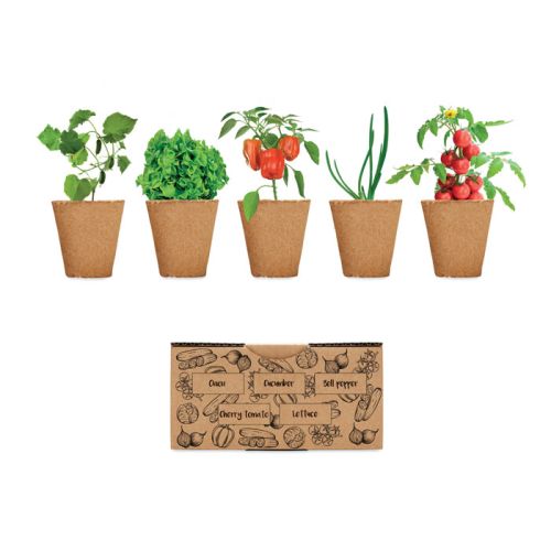 Salad growing kit - Image 1